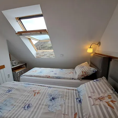 Soba Erika 3* Fužine