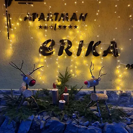 Soba Erika Gostinjska kuća