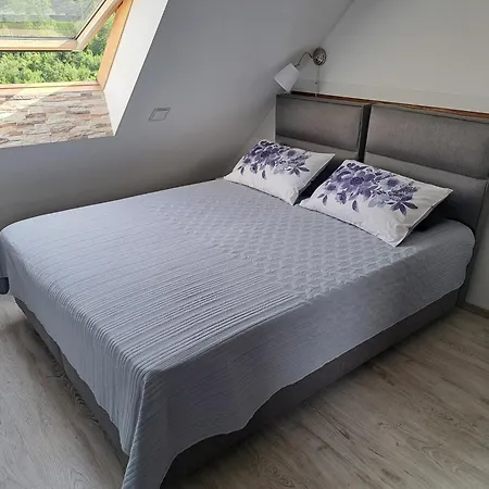 Soba Erika Gostinjska kuća