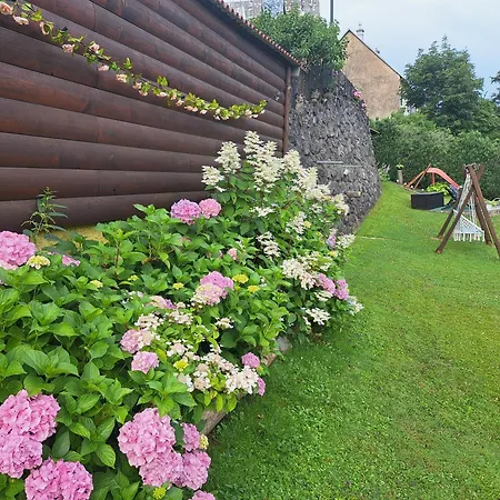 Soba Erika Gostinjska kuća Fuzine