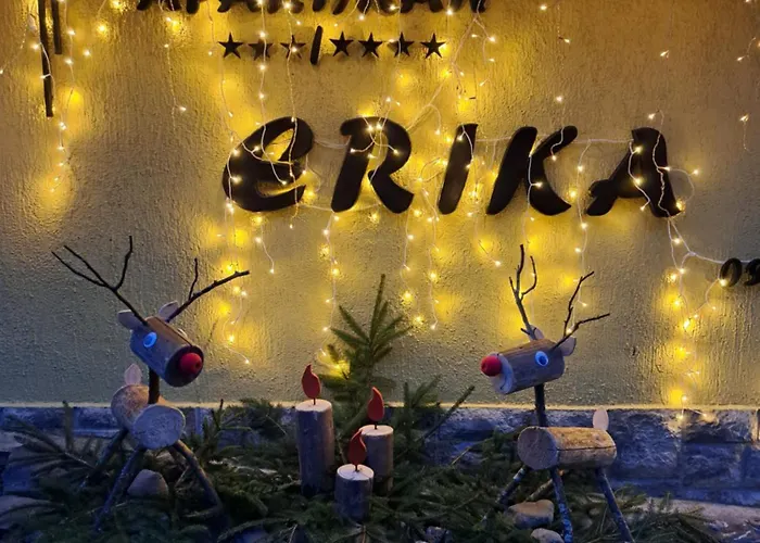 Soba Erika Gostinjska kuća